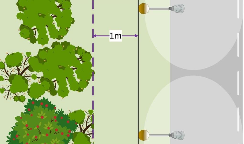 Illustrasjon av to lyktestolper på en vei med en kabel mellom seg.  Illustrasjonen er laget i ugleperspektiv. Vinkel oven i fra og ned. Vegetasjon er illustrert på venstre side. Mellom vegetasjon og kabel er det en pil med tekst "1m".  - Klikk for stort bilde